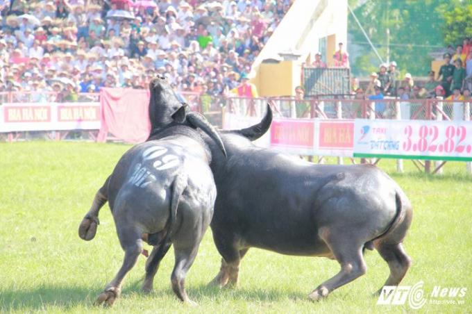 Cận cảnh những m&agrave;n