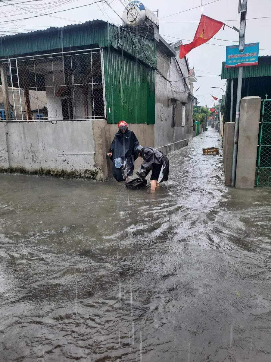 395433789_982004962905583_6369630841172109628_n