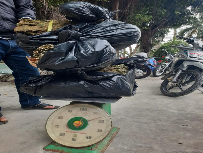 5ea9192a97d5678b3ec4