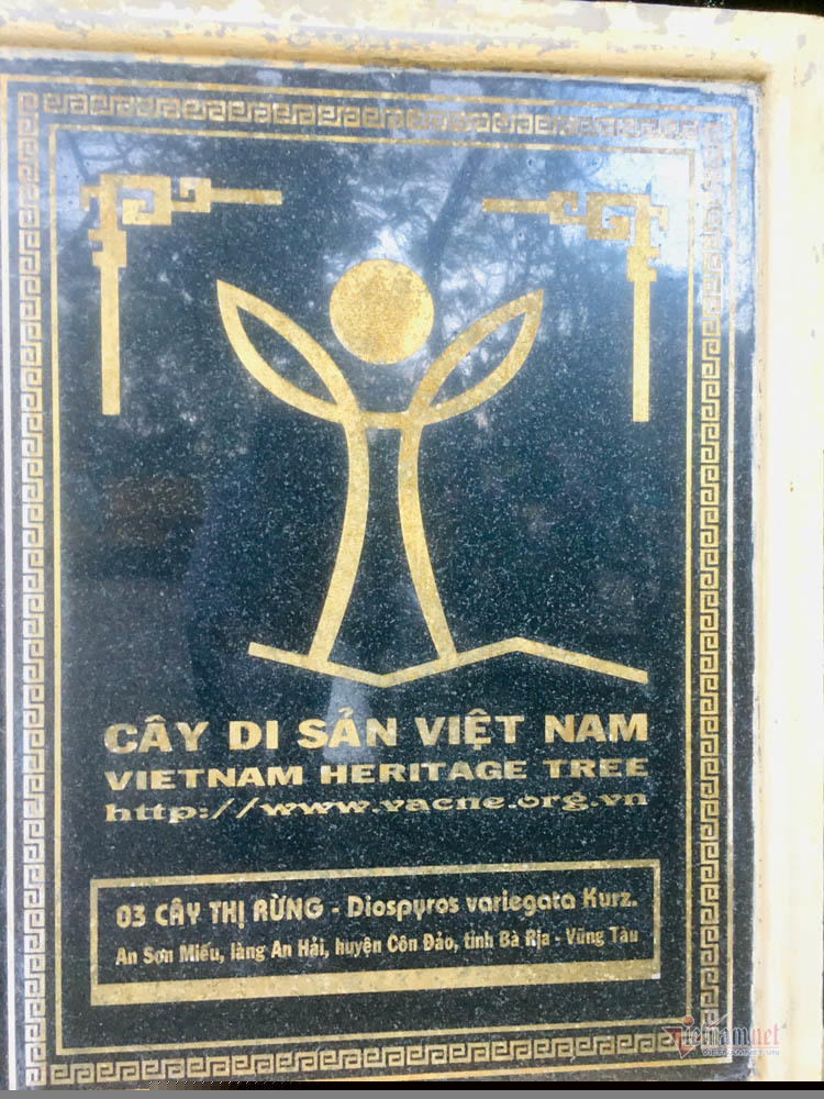 Bia công nhận ba cây thị là cây di sản Việt Nam. Còn An Sơn Miếu được UBND tỉnh Bà Rịa - Vũng Tàu xếp hạng di tích cấp tỉnh.