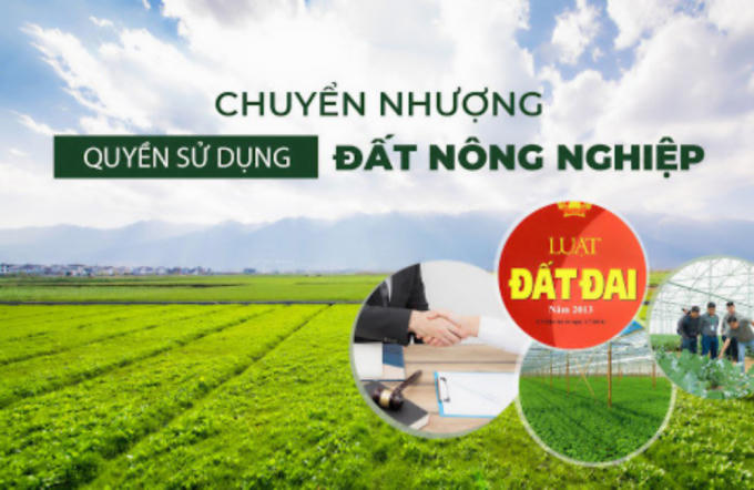Anh266.