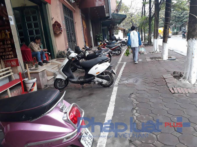 Xe được xếp hàng ngay ngắn trong vạch sơn.