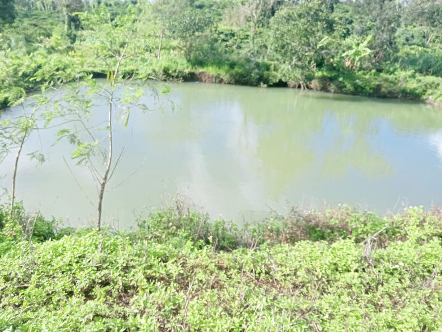 Hồ tưới nước nơi 3 cháu nhỏ đuối nước thương tâm.