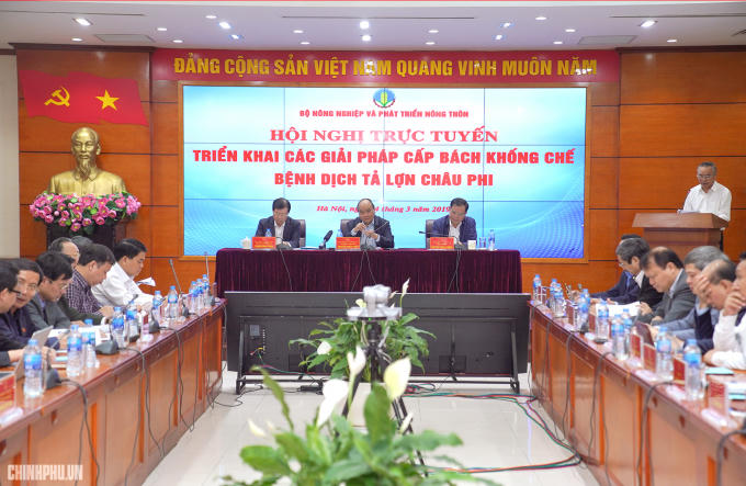 Hội nghị trực tuyến triển khai các giải pháp cấp bách khống chế bệnh dịch tả lợn Châu Phi.