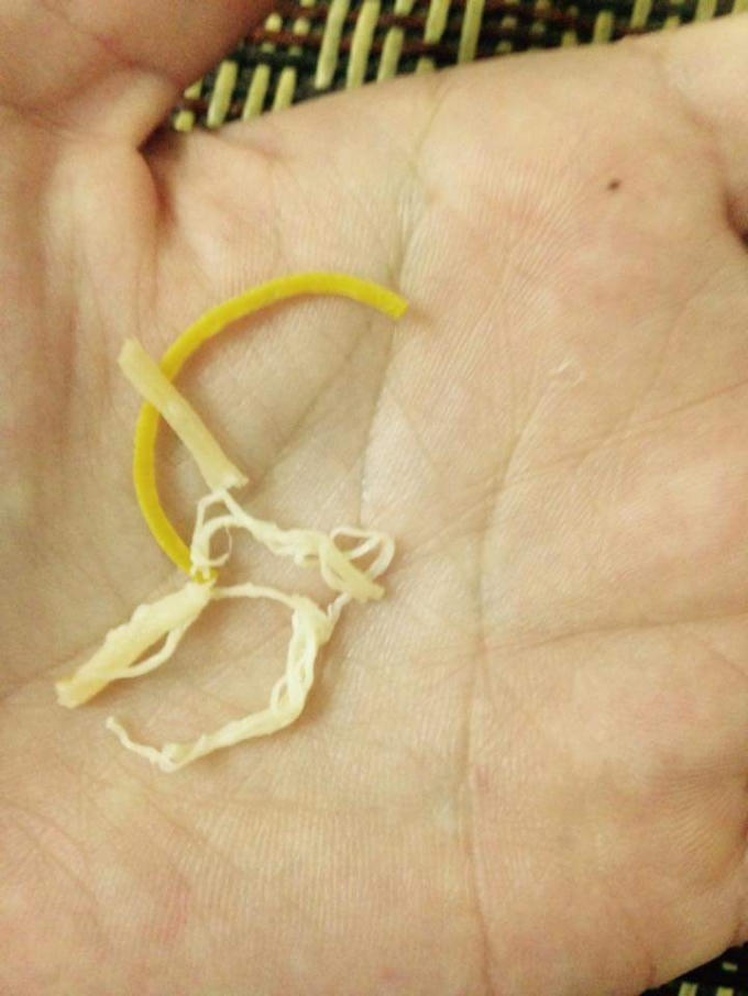 Hình ảnh được chia sẻ.