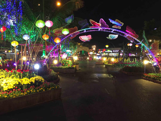 Ngất ng&acirc;y trước vẻ đẹp của đường hoa T&acirc;y Đ&ocirc;