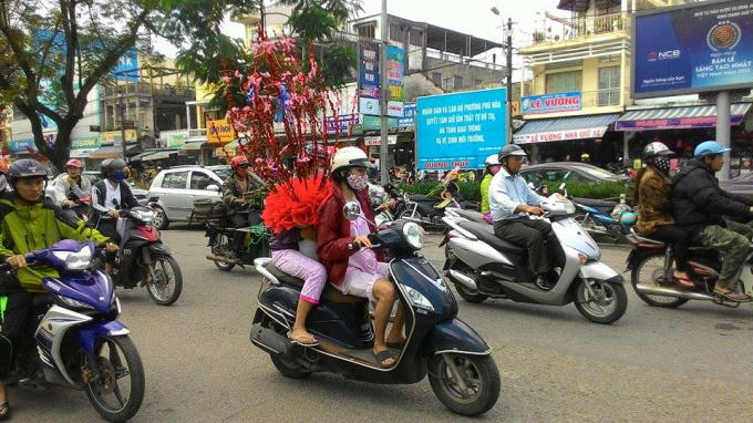 Những chậu hoa trang trí bắt mắt đang được vận chuyển về tận mọi nhà đón Xuân (Ảnh: PV Đăng Hậu chụp ngày 30 Tết)