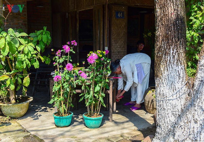 Một góc nhỏ trong thành nội, người mệ già đang chuẩn bị cúng tất niên trong gia đình, nắng Xuân bên hiên nhà, mái tóc mệ bạc trắng, hình ảnh của những cái Tết ngày xưa.