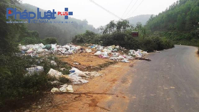Bao tải rách, xác lợn nằm ngay trên đường gây mùi khó chịu (Ảnh Đào Tấn)