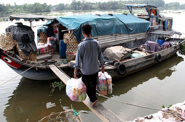C&aacute;c sản phẩm heo v&agrave;ng chủ yếu phục vụ thị trường c&aacute;c tỉnh ph&iacute;a Nam như TP HCM, Đồng Nai, Cần Thơ&hellip;