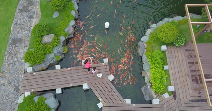 Biệt thự The Villas tọa lạc tại khu vực ven sông Sài Gòn, có lối kiến trúc theo phong cách tân cổ điển, mang lại vẻ sang trọng, tận dụng không gian xanh tự nhiên, tạo nên môi trường sống thoáng đãng và riêng tư.