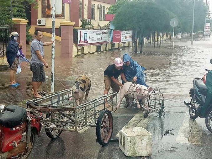 Các hoạt động của người dân gặp nhiều khó khăn.