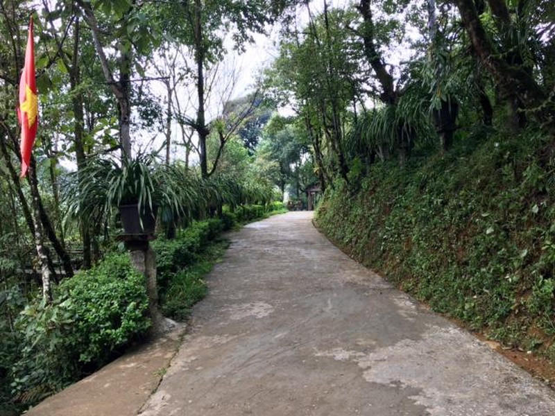 Con đường bê tông đi vào trong bản Sin Suối Hồ được bà con quét dọn sạch đẹp, hàng trăm giỏ hoa địa lan được sắp xếp ngay ngắn dọc theo hai bên đường.
