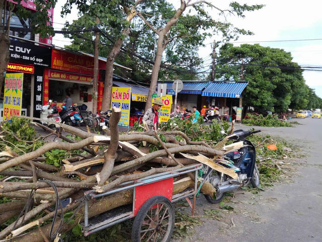 Củi được chất lên xe.