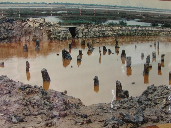 Bãi cọc Bạch Đằng- Phường Yên Giang.