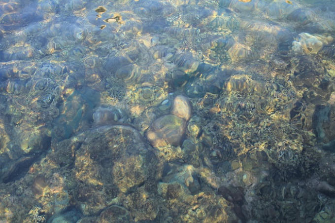 Mặt nước trong vắt hiện lên những mỏm đá, rặng san hô đầy màu sắc.