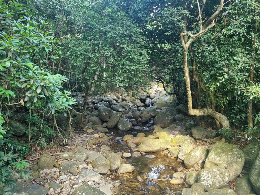 Dòng suối Giải Oan dưới chân núi Yên Tử. Ảnh: Châu Doanh