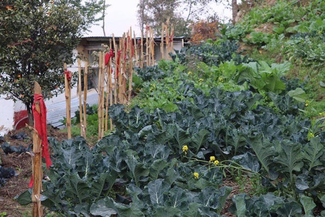 Thông qua việc trồng trọt có thể tận hưởng vẻ đẹp của cuộc sống, mọi người trong nhà ông luôn tâm niệm làm trang trại để có thực phẩm hữu cơ cho gia đình, phục vụ những thực phẩm tươi, lành mạnh cho du khách và duy trì sự cân bằng của hệ sinh thái. Mặt khác, ông Govinda cũng muốn cho người khác thấy được niềm hạnh phúc khi tự trồng rau cũng như các cây dùng làm thực phẩm.