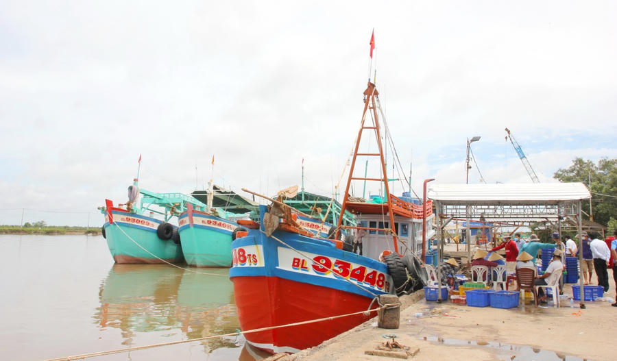 Lực lượng chức năng quyết liệt kiểm soát chặt chẽ tàu cá ra vào cảng, giám sát sản lượng khai thác, đăng ký - đăng kiểm đầy đủ...