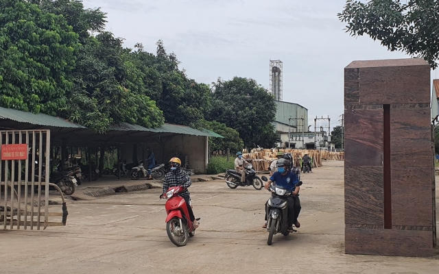 Yêu cầu dừng hoạt động sản xuất gỗ bóc trái phép tại Nhà máy tinh bột sắn Intimex