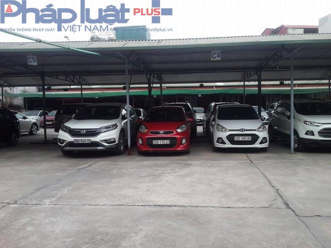 Hàng trăm chiếc ô tô các loại được gửi tại bãi xe này.