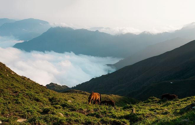 Mùa Xuân trên đỉnh Tà Chì Nhù