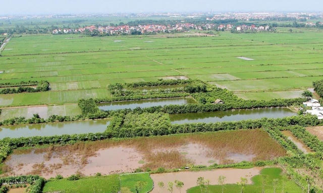 Những vi phạm đất đai tại xã Xuân Kiên, Xuân Hòa huyện Xuân Trường 