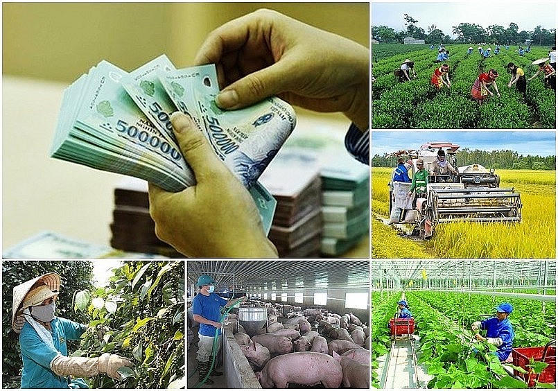 Tháo gỡ khó khăn, vướng mắc khi thực hiện các chương trình mục tiêu quốc gia trong bối cảnh triển khai mô hình chính quyền địa phương 2 cấp.