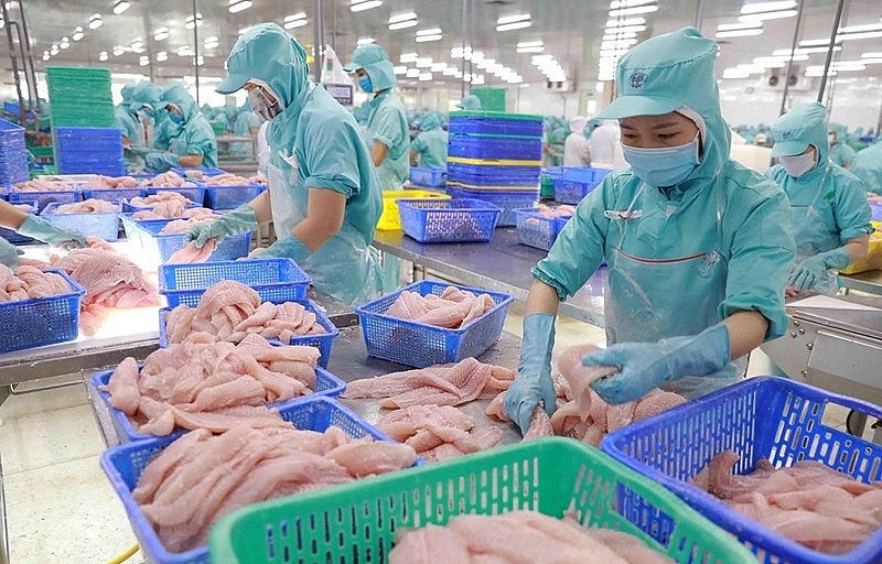 Xuất khẩu cá tra phi lê đông lạnh (mã HS0304) đạt 821 triệu USD, tăng 11%, tiếp tục là mặt hàng chủ lực dẫn dắt kim ngạch toàn ngành. (Ảnh: IT).
