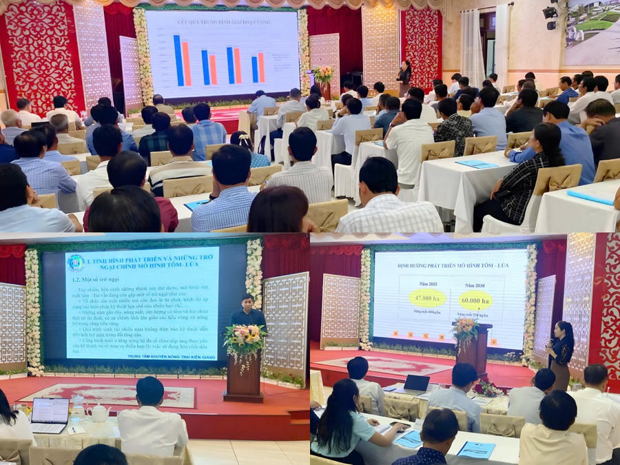 Hội thảo thu hút sự tham gia của các chuyên gia nông nghiệp vùng ĐBSCL và tỉnh vùng bán đảo Cà Mau gồm: Cà Mau, Kiên Giang và Sóc Trăng.