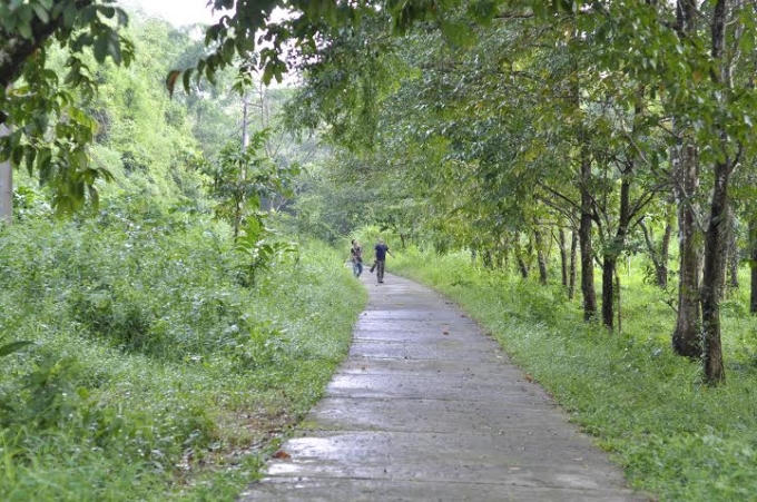 Dự án đường giao thông trong vùng lõi VQG Cát Tiên.
