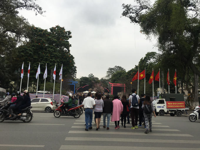 Triển lãm hoa anh đào Nhật Bản sẽ được tổ chức tại khu vực tượng đài Lý Thái Tổ tối nay(10/3)