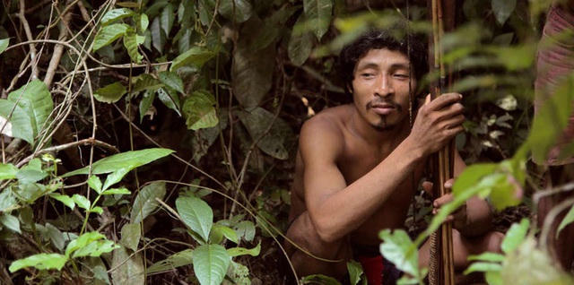 Ngôn ngữ của người Pirahã vô cùng đặc biệt và khó học, mặc dù chỉ có 3 nguyên âm và 7 phụ âm. Họ không có chữ viết và không có bảng chữ cái. Họ sử dụng 3 đại từ và hầu như không sử dụng bất cứ từ nào liên quan đến thời gian, không chia động từ quá khứ, hiện tại, đặc biệt là không có mệnh đề phụ. Theo một nghiên cứu của Đại học Oslo (Na Uy), một người không thuộc bộ tộc nguyên thủy này nếu có trí nhớ ở mức trung bình thì phải mất 10 năm mới có thể giao tiếp cơ bản bằng tiếng Pirahã.