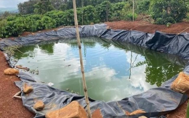 Đắk Nông: Nhảy xuống ao cứu cháu bị đuối nước, 2 bà cháu tử vong thương tâm