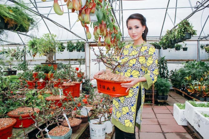 Hoa hậu quý bà Sương Đặng duyên dáng trong tà áo dài vintage xuống phố Mỹ sắm tết Việt.