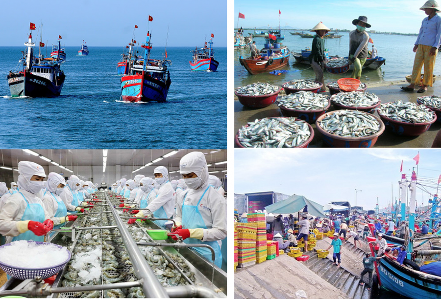 Đến năm 2050, Việt Nam trở thành quốc gia có nghề cá phát triển bền vững, hiện đại.