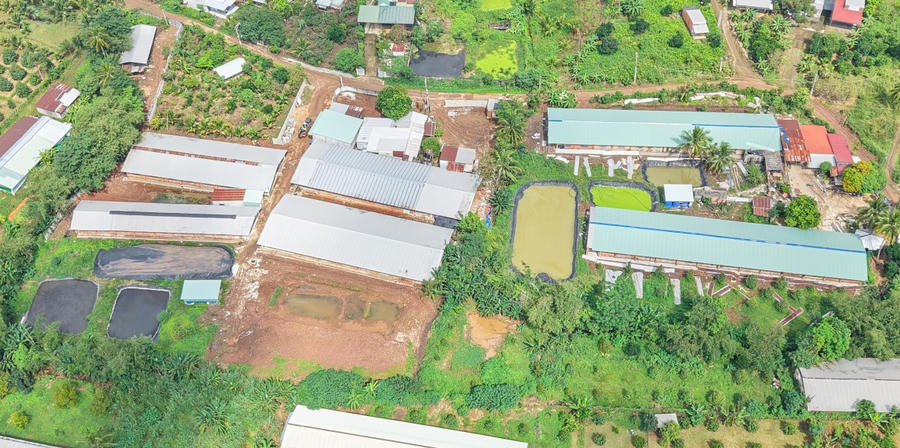 2 cơ sở chăn nuôi tại đường số 2, tổ 37 phường Hàng Gòn.