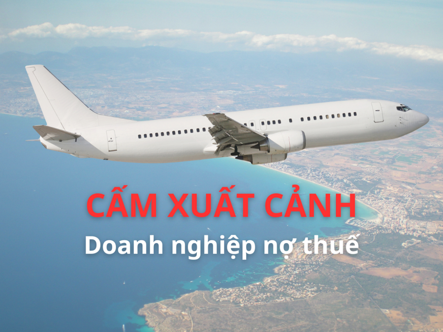 Cấm xuất cảnh đối với bà Nguyễn Thị Thu Nguyệt (SN 1987) là người đại diện theo pháp luật của Công ty cổ phần Đầu tư xây dựng Thành Công Vĩnh Phúc (nguồn Internet).
