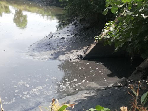Bắc Ninh: Một cá nhân bị phạt 263 triệu đồng vì vi phạm trong lĩnh vực bảo vệ môi trường