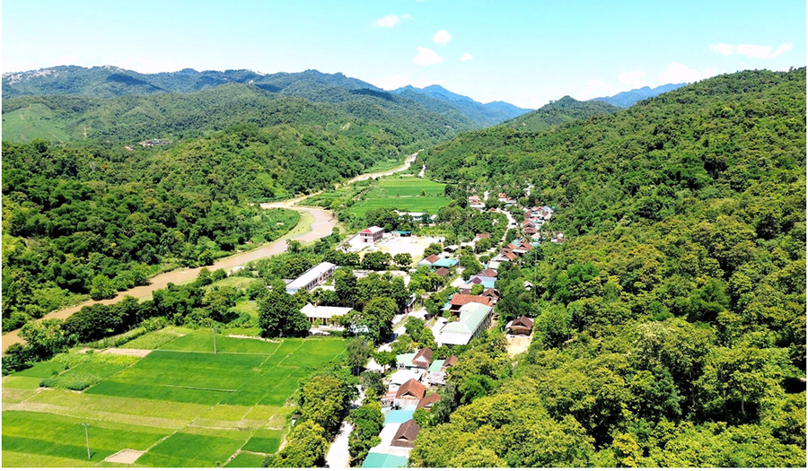 Nghệ An có tỷ lệ che phủ rừng đạt gần 60% - Ảnh NA.