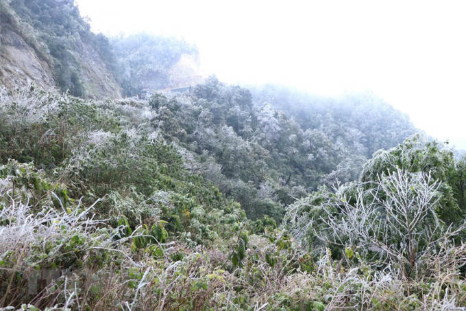 Băng giá phủ kín đoạn đèo Ô Quy Hồ thuộc địa phận tỉnh Lai Châu đi Sa Pa. (Ảnh: Nguyễn Oanh/TTXVN)