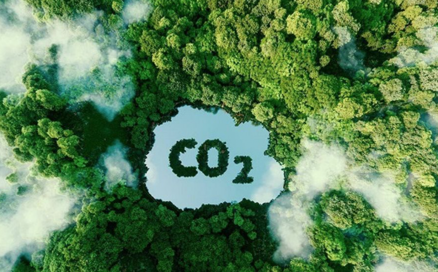 Thí điểm sàn giao dịch các-bon tại Việt Nam băm 2025, vận hành chính thức vào 2029. (Ảnh minh hoạ/vtv.vn)