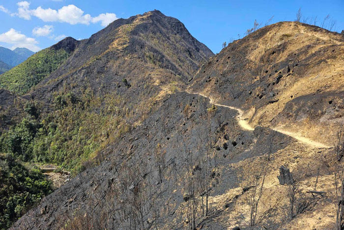 Các điểm cháy đã được dập tắt, không lan rộng vào rừng già.