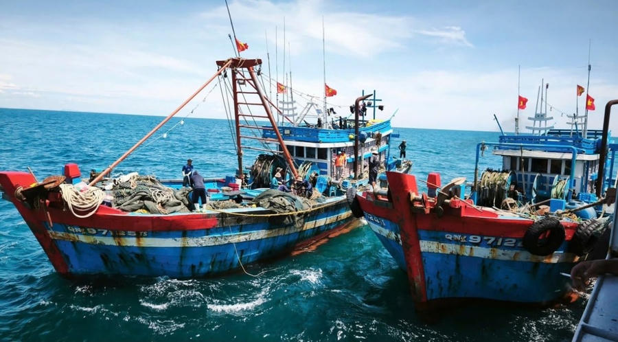 Đưa Hệ thống kiểm soát tàu cá và thông tin ngư dân lên ứng dụng VNeID. (Ảnh minh họa: nongnghiepmoitruong.vn)