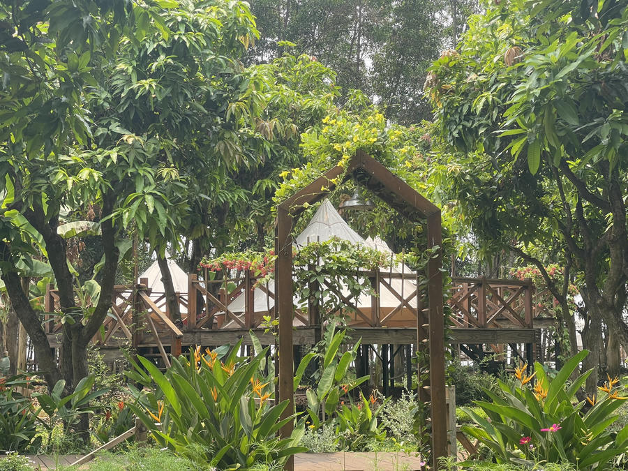 z4273613312060_2beed0b73d7023f03c27af7ffa758108