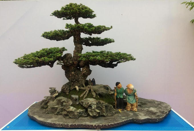 Quảng Ninh: Những t&aacute;c phẩm nghệ thuật Bonsai độc đ&aacute;o tại triển l&atilde;m c&acirc;y cảnh nghệ thuật Y&ecirc;n Tử 2018