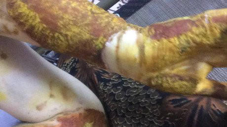 Một học sinh bị bỏng nặng trong giờ thực hành hóa tại trường Phan Đình Phùng.