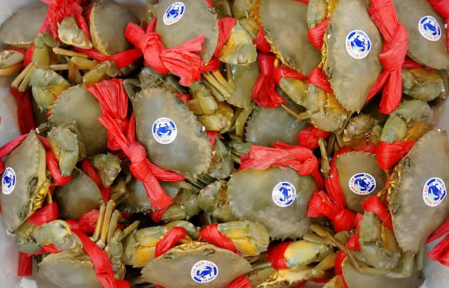 Năm 2015, Cục Sở Hữu trí tuệ, Bộ Khoa học và Công nghệ cấp giấy Chứng nhận Nhãn hiệu tập thể "Cua Năm Căn - Cà Mau".
