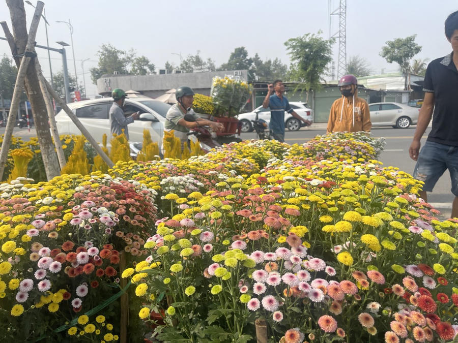 Người dân bắt đầu đi hoa về chưng Tết.
