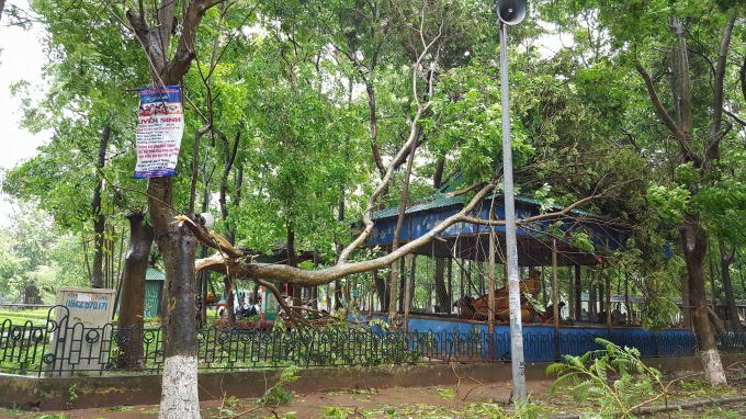 Một cành cây gãy đổ vào máy che khu vui chơi tại công viên.